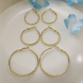 Silver/Gold Plated Fashion Hoops Earrings