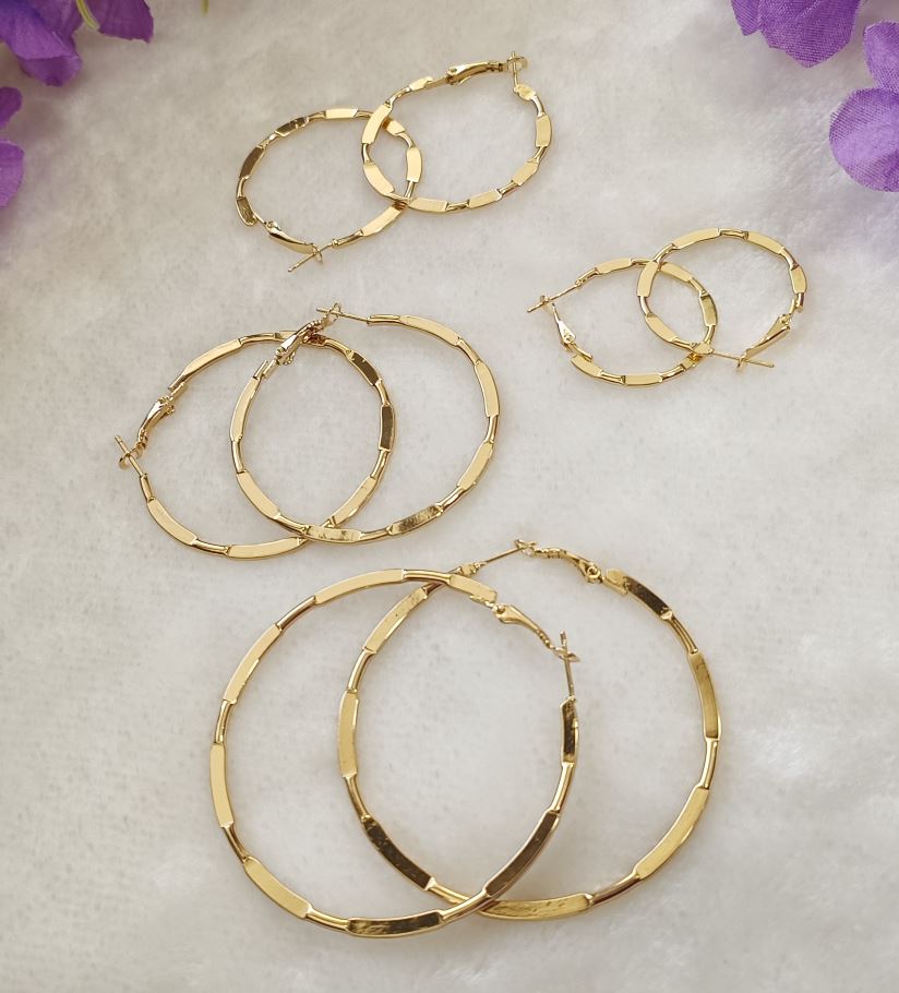 Silver/Gold Plated Hoops Earrings- HER 2398