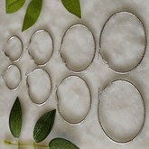 Silver/Rose Gold Plated Hoops Earrings