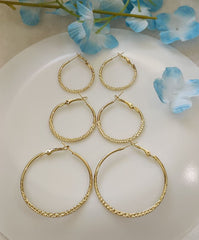 Silver/Gold Plated Fashion Hoops Earrings- HER 2384