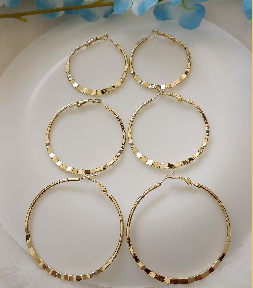Silver/Gold Plated Fashion Hoops Earrings- HER 2385