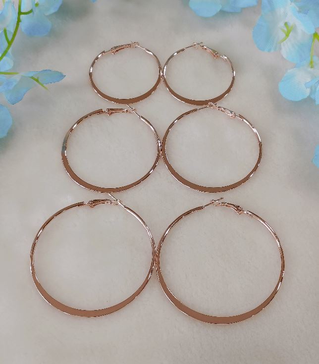 Silver/Rose Gold Plated Hoops Earrings- HER 2407