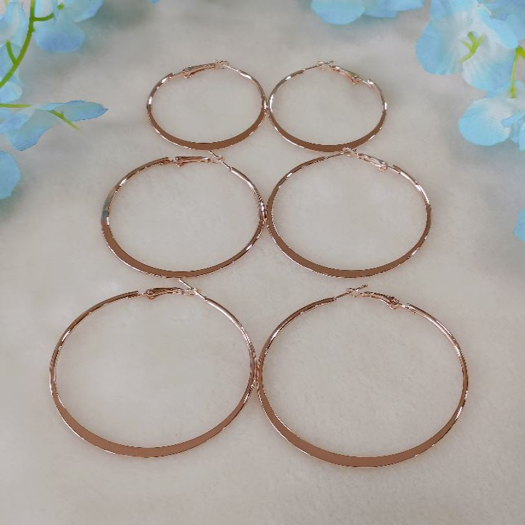 Silver/Rose Gold Plated Hoops Earrings