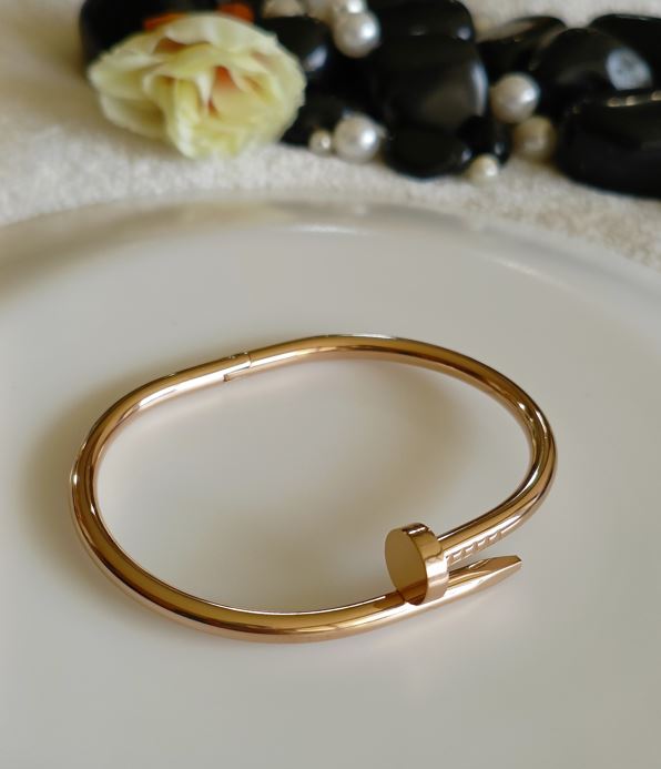 Stainless Steel Gold/Rosegold Plated Nail Shaped Kada- STKD 4700