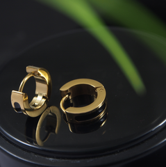 Stainless Steel Gold Plated Hoops Earring-STNER 2931