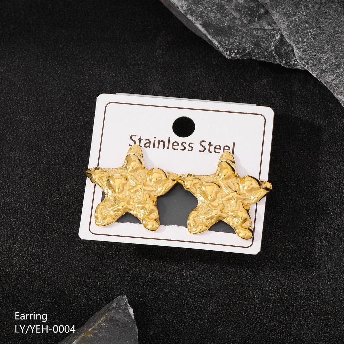 Stainless Steel Earring