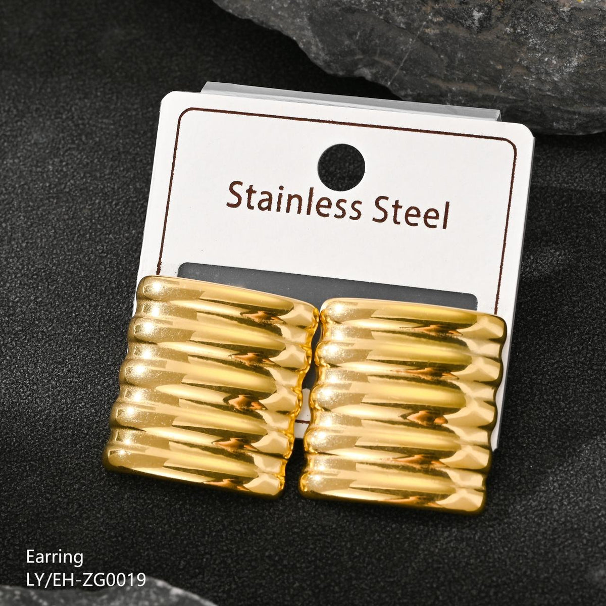 Stainless Steel Earring
