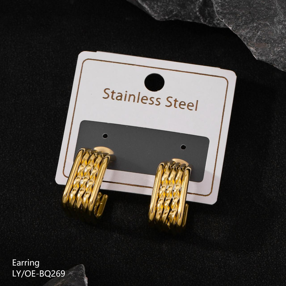 Stainless Steel Earring