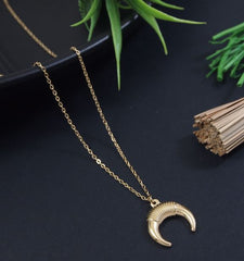 Stainless Steel Moon Pendent Necklace  - STNK 5487